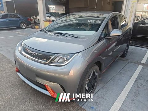 2023 BYD Dolphin 405km Freedom Edition - ავტომობილი ჩინეთიდან