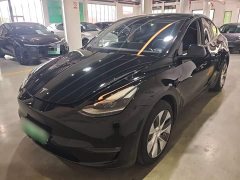 Tesla Model Y Long Range All-Wheel Drive - ფოტო 1