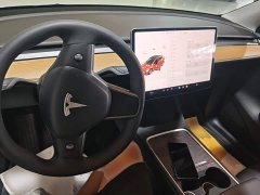Tesla Model Y Long Range All-Wheel Drive - ფოტო 10