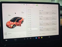 Tesla Model Y Long Range All-Wheel Drive - ფოტო 12