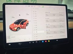 Tesla Model Y Long Range All-Wheel Drive - ფოტო 13