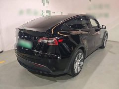 Tesla Model Y Long Range All-Wheel Drive - ფოტო 7
