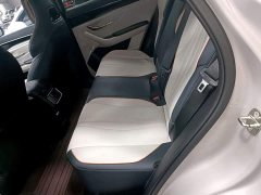 BYD Song Plus New Energy 2023 Champion Edition EV 520KM Luxury - ფოტო 17