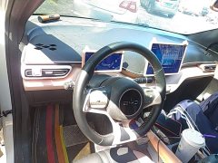 BYD Seagull 2025 305km Freedom Edition - ფოტო 10