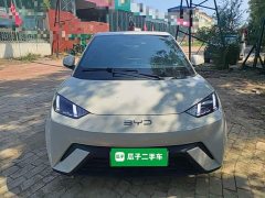 BYD Seagull 2025 305km Freedom Edition - ფოტო 3