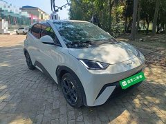 BYD Seagull 2025 305km Freedom Edition - ფოტო 4