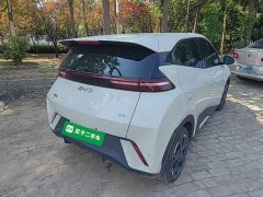BYD Seagull 2025 305km Freedom Edition - ფოტო 7