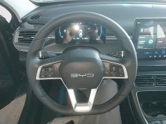BYD Destroyer 05 Glory Edition DM-i 55KM Luxury - ფოტო 11