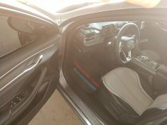 BYD Destroyer 05 Glory Edition DM-i 55KM Luxury - ფოტო 16