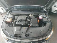 BYD Destroyer 05 Glory Edition DM-i 55KM Luxury - ფოტო 20