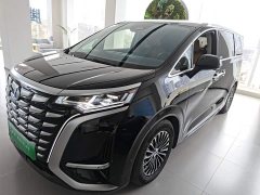 Denza D9 2022 DM-i 970 AWD Flagship - ფოტო 1