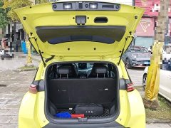 BYD Seagull Flying Edition - ფოტო 19