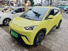 BYD Seagull Flying Edition - ფოტო 2