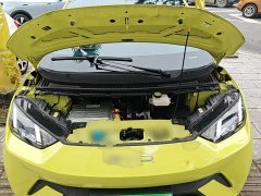 BYD Seagull Flying Edition - ფოტო 20