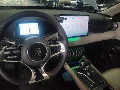 BYD Yuan Plus Glory Edition 510KM Leading - ფოტო 10