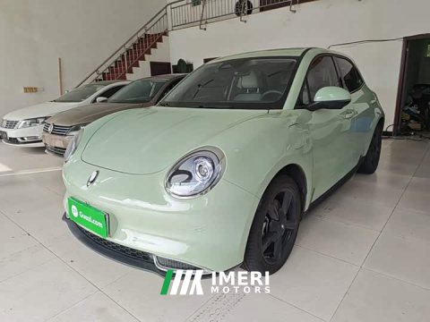 2024 ORA Good Cat 401km Luxury - ავტომობილი ჩინეთიდან