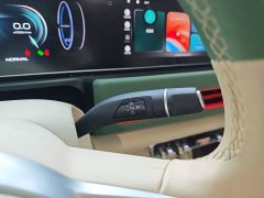 ORA Good Cat 401km Luxury - ფოტო 14