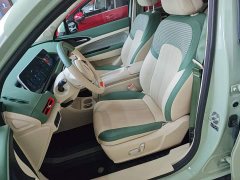 ORA Good Cat 401km Luxury - ფოტო 15