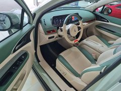 ORA Good Cat 401km Luxury - ფოტო 16