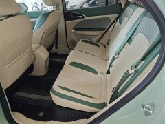 ORA Good Cat 401km Luxury - ფოტო 17