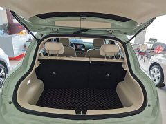 ORA Good Cat 401km Luxury - ფოტო 19