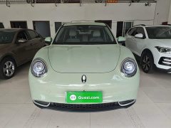 ORA Good Cat 401km Luxury - ფოტო 3