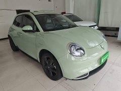 ORA Good Cat 401km Luxury - ფოტო 4