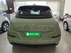 ORA Good Cat 401km Luxury - ფოტო 6