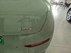 ORA Good Cat 401km Luxury - ფოტო 8
