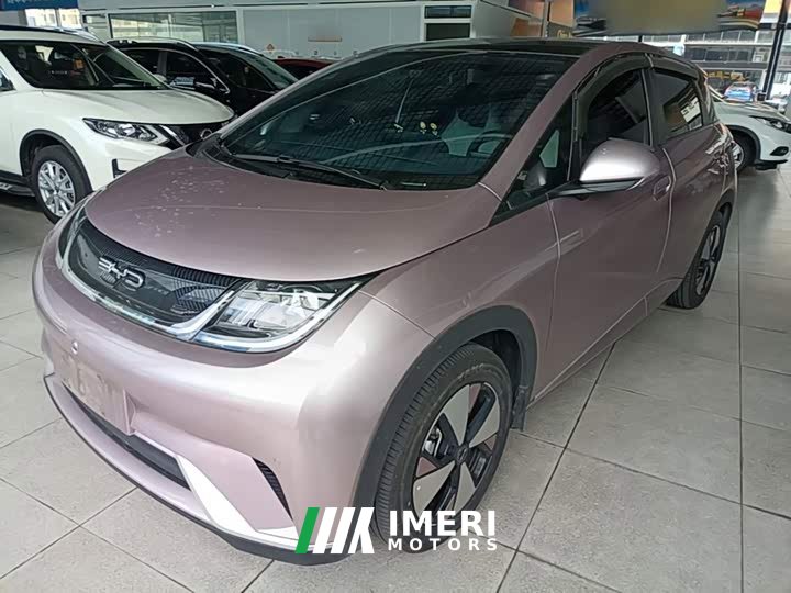 BYD Dolphin 2023 420km Fashion Edition - ავტომობილი ჩინეთიდან