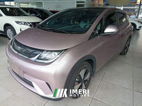 2024 BYD Dolphin 420km Fashion Edition
