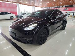 Tesla Model Y Standard Range RWD - ფოტო 1