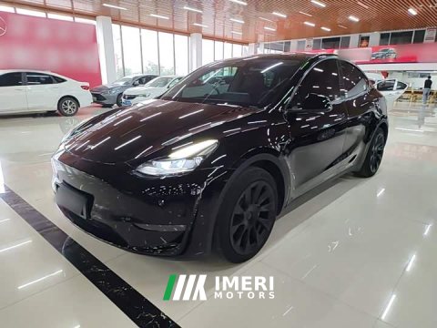 2021 Tesla Model Y Standard Range RWD - ავტომობილი ჩინეთიდან