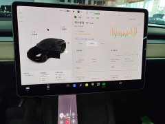 Tesla Model Y Standard Range RWD - ფოტო 12