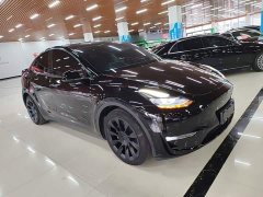 Tesla Model Y Standard Range RWD - ფოტო 4