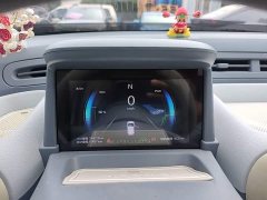 FAW Besturn Xiaoma 170km Yuanqi Ma - ფოტო 12