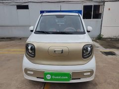 FAW Besturn Xiaoma 170km Yuanqi Ma - ფოტო 3