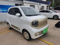 FAW Besturn Xiaoma 170km Yuanqi Ma - ფოტო 4