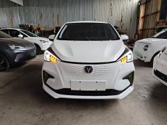 Changan Benben E-Star 2020 Joyful Edition Lithium Iron Phosphate (31.18kWh) - ფოტო 3