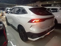 Dongfeng Fengxing T5 EVO 1.5TD DCT Starry Sky Edition - ფოტო 5