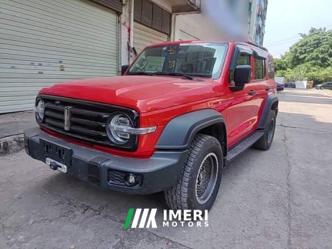 2021 Tank 300 Off-Road Edition 2.0T Conqueror - ავტომობილი ჩინეთიდან