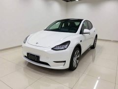 Tesla Model Y Long Range All-Wheel Drive - ფოტო 2