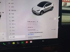 Tesla Model Y Long Range All-Wheel Drive - ფოტო 8
