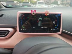 BYD Seagull 2023 Flying Edition - ფოტო 12