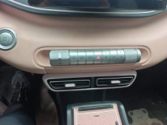 BYD Seagull 2023 Flying Edition - ფოტო 14