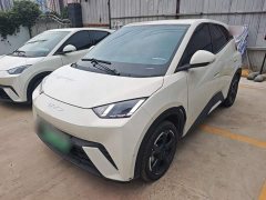 BYD Seagull 2023 Flying Edition - ფოტო 2