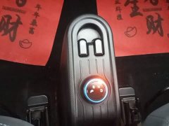 Wuling Hongguang MINIEV 2020 Zizai Edition LFP Battery - ფოტო 14