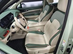 ORA Good Cat 401km Standard Range Deluxe LFP - ფოტო 15