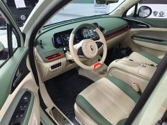ORA Good Cat 401km Standard Range Deluxe LFP - ფოტო 16