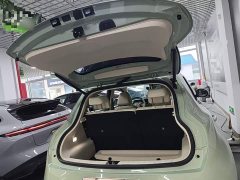 ORA Good Cat 401km Standard Range Deluxe LFP - ფოტო 19